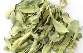 罗布麻茶可以长期喝吗?有副作用吗?