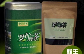 罗布麻茶一天喝多少为宜最佳，养生保健多少合适